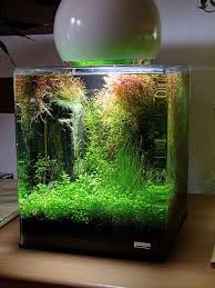 Nano Cube Aquarium Von Dennerle Fish Tank Terrarium Tropical Fish Aquarium Aquarium