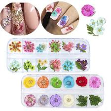 Check spelling or type a new query. Missbabe 2pack 24 Different Colors Natural Real Dried Flowers Nail Art Decoration Sticker For 3d Nail Art Acrylic Uv Gel Tips Buy Online In Antigua And Barbuda At Antigua Desertcart Com Productid 67563868