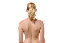 It is like that for several reasons, all of which you can understand by looking at the anatomy of the thoracic spine. 137 Upper Back Anatomy Photos Free Royalty Free Stock Photos From Dreamstime