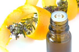 Image result for Rutaceae