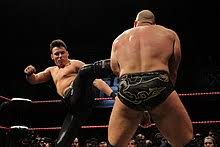 57 (3 pay per view). Mike Bailey Wrestler Wikipedia