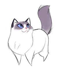 Begin drawing eyes with simple circles spaced one circle apart. Daily Cat Drawings 535 Pretty Eyes Cartoon Cat Drawing Cartoon Drawings Of Animals Cat Drawing