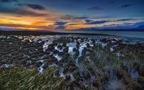 Senja wallpaper pemandangan alam view insta story sunset sunrise background in 2020 sky aesthetic aesthetic backgrounds scenery. Yellow Blue Sky Sunset Badan Air Alam Pemandangan Kuning Biru Matahari Terbenam Wallpaper Hd Wallpaperbetter