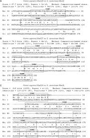 Make sure that you have a professional and courteous voicemail greeting in case you are unable to answer the. Fungal Med2 Med3 And Med5 Are Apparent Homologs Of Metazoan Med29 Download Scientific Diagram