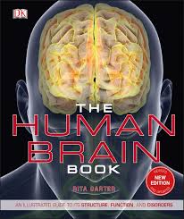 Contains nuclei that relay signals from the forebrain to the cerebellum. The Human Brain Book An Illustrated Guide To Its Structure Function And Disorders Carter Rita 9781465479549 Amazon Com Books