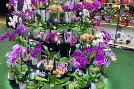 I can't believe i haven't gone here sooner. Long Beach S 3 Top Florists That Won T Break The Bank