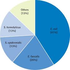 Image result for Chronic Bacterial Prostatitis