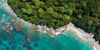 Apr 03, 2021 · what is an environmental portrait? Global Environment Facility Home Facebook