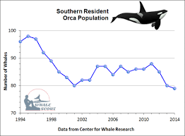 Whales And Animal Welfare Common Claims