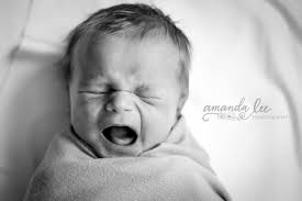 Profile for Amanda Lee Photography