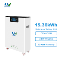 Jm Exporter 48V 300ah 314ah Solar LiFePO4 Lithium Battery for Home Energy  Storage