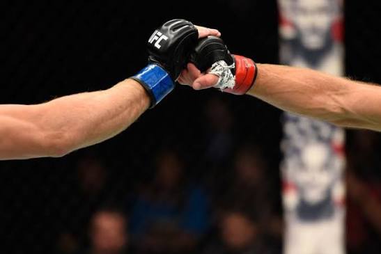 Introduction to MMA | UFC
