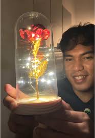 Rose in Dome with Lights