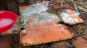 Less volatile than chlorine, it removes mildew on and below the surface—as well as algae, dirt, and oxidized paint—but won't harm plants or clothing. How To Naturally Get Rid Of Mold Mildew In Your Home And Rv