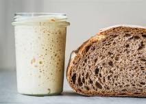 Sourdough Starter Workshop