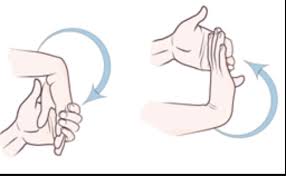 Repeat the stretch three times. Stretching Hand Exercises Cheap Online