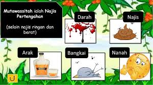 Kemudiaan dibasuh dengan air mutlak sebanyak enam kali ditempat yang terkena najis sehingga hilang ain, bau dan rasanya. Najis Mutawassitah