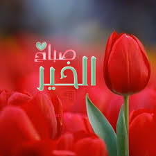 Pin By Heba Zain On صباح الخير Goodmorning Good Morning Beautiful Images Good Morning Beautiful Good Night Messages