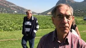 Water Hyacinth Crisis