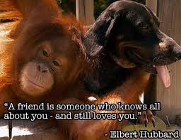 This Quote Hung In My Bedroom As A Child With A Picture Of 2 Cabbage Patch Kids Dolls And Unlikely Animal Friends Animals Friendship Unusual Animal Friendships