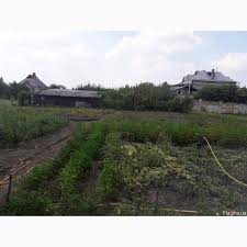 We did not find results for: Prodam Dom Chervonyj Shahtar 24 Sotki Krivoj Rog Doma Dachi Bboard Krivoy Rog