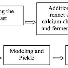 Flowchart Of The Production Of Mozzarella Cheese Download