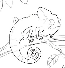 Chameleon Coloring Pages Best Coloring Pages For Kids Zoo Animal Coloring Pages Animal Coloring Pages Animal Coloring Books