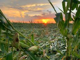 The storm kicked off in the morning, and as winds up to 100 mph moved across the land for hundreds. August 2020 Midwest Derecho Wikipedia