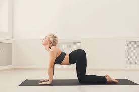 Try These Yoga Poses For A Seriously Strong Core Livestrong Com Yoga Poses Yoga Poses For Beginners Cat Cow Yoga Pose