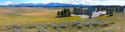 Maybe you would like to learn more about one of these? Pelican Valley Pelican Valley Trail Yellowstone National Park Wyoming