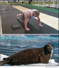 That S Gotta Be The Best Pirate I Ve Ever Seen Meme Helicopter Lol This Was So True Back In The Day Middle School Memes Funny School Memes Teacher Humor