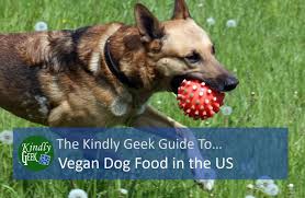 vegan dog foods pared and d us