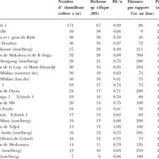 Image result for Ancistrorhynchus ovatus