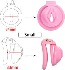 Fredorch Pussy Vaginal Chastity Devices Cage Small Male Bondage Cock Cage  Slave Penis Ring Sex Shop 18+ Gay Ladyboy Sex Toy for Men (small) :  Amazon.ca: Health & Personal Care