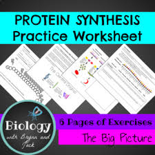 The worksheet is an assortment of 4 intriguing pursuits that. Transcription And Translation Practice Worksheets Tpt