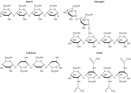 2 3 Biological Molecules Concepts Of Biology 1st