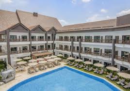 Image result for Melia