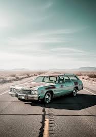 Image result for Silver Frost 1973 Fury