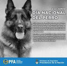 2 De Junio Dia Del Perro En Huellitas Nortenas Catamarca Facebook