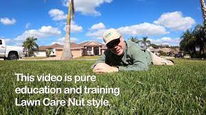 It's safe to use in many environments beyond turfgrass lawns, including on potted plants, in nurseries and seedling nurseries, ungrazed fence rows, and christmas tree farms. 2021 Early Spring Lawn Care Steps Youtube