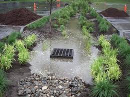 Bioretention Area Built At 133 State Street In Montpelier Design Sponsored By Epa S Green Capitols Pro Rain Garden Sustainable Landscaping Landscape Design