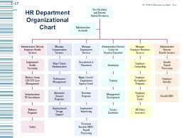 It Org Chart Examples Jasonkellyphoto Co