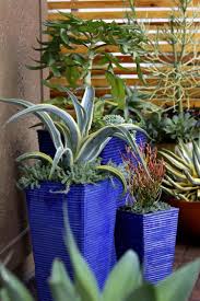 Diy Deco Avec Des Plantes Succulentes En 80 Photos Plante Succulente Projets De Jardins Bricolage Jardin