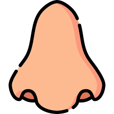 Nose Free Vector Icons Designed By Freepik Free Icons Vector Free Vector Icons