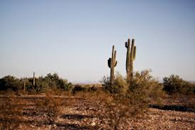 We did not find results for: 2019 Rural Land Value Trends Report Texas Agriculture Law