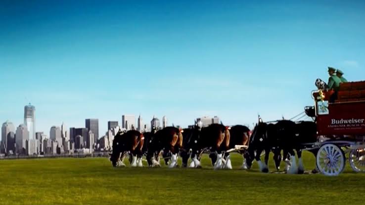 Heart over laughs: 'Clydesdale Respect' voted TODAY fans' favorite Super  Bowl ad