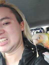 Wonderful if they can walk better than she drives?