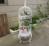 OEM Hand Made Iron Bird Cage for Outdoor Decoration - Iron ...