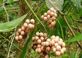 Maybe you would like to learn more about one of these? à¸«à¸§à¸²à¸¢ à¹€à¸ªà¸™ à¸« à¹à¸«à¸¥à¸¡à¸— à¸¡à¹à¸—à¸‡à¹ƒà¸ˆ
