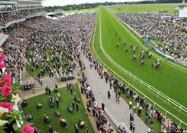 Revenues Reach Record High At York Racecourse York Press